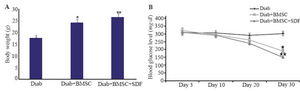 <p>Figure 4. Body weight and <strong>blood glucose levels </strong>in streptozotocin induced diabetic<strong> and treated mice during the experiment. A,</strong> Effects of the transplantation of BMSCs with and without SDF-1&alpha; preconditioning on the body weight of mice with streptozotocin induced diabetes.&nbsp;<strong>B</strong>, Blood glucose levels in diabetic and treated groups at days 3, 10, 20 and 30 of study. Diab, Diabetic; BMSCs, bone-marrow-derived mesenchymal stromal cells; SDF-1&alpha;, stromal derived factor.*, Diab+BMSC group <em>vs</em>. diab group. **, Diab+BMSC+SDF-1&alpha; group <em>vs</em>. Diab+BMSC group. All values are mean&plusmn;SD. Level of significance is p&lt;0.05.</p>