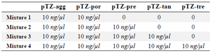 <p>Table 2. Different mixtures of the positive control prepared in order to determine the specificity</p>
