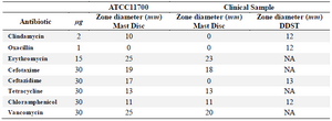 <p>Table 1. Sensitivity of the <em>E. faecalis </em>to the applied antibiotics and in synergy with Fe<sub>2</sub>O<sub>3</sub> nanoparticles</p>
<p>* (NA)-did not test.</p>