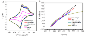 <p>Figure 5. Behaviour of PANI modified GCE electrode (A) <em>Cyclic voltammograms. </em>(B) Impedance spectroscopy of different modified electrodes using 0.1 <em>M</em> PBS pH=7.6 containing 10 <em>mM</em> <em>Fe</em>(CN)<sub>6</sub><sup>3-/4-</sup>.</p>