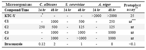 Table 2. Protoplast assay result of KTC-Y against A. fumigatus Af293, and antifungal effect of four mimetic compounds against A. niger, C. albicans, and S. cerevisiae, as obtained by the broth dilution method; MIC values are expressed in µg/ml
*"-" means no readable growth; ** The test was performed on A. fumigatus; *** "nt" means not tested

