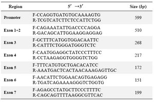 Table 1. Primer sequences for amplification of the promoter and coding region of the SPP2 gene