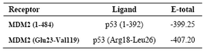 Table 5. Docking interaction energies (kJ/mol) of MDM2 model with p53 model and optimized part of MDM2 with optimized part of p53
MDM2 complete model (1-484) and optimized part (Glu23-Val119); p53 complete model (1-392) and optimized part (Arg18-Leu26)
