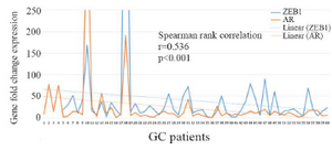 <p>Figure 2. Relationship between AR and ZEB1 expression in GC samples using Spearman rank test.</p>