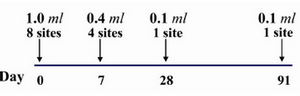 Figure 1. Details of the eight site intradermal rabies post exposure vaccination regimen (PCECV and HDCS)