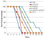<p>Figure 3. Survival curves of immunized BALB/c mice after lethal challenge with 5&times;10<sup>4 </sup>tachyzoite forms of RH <em>T. gondii</em> strain, 4 weeks after the last immunization. Each group has six mice.</p>