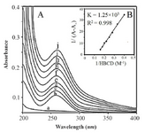 <p>Figure 3. FTIR spectra in the region of 1800-600 <em>cm</em><sup>-1</sup> for (A) Baker&rsquo;s yeast RNA (10 <em>mM</em>) (B) HBCD (C) HBCD-RNA: RNA (10 <em>mM</em>), HBCD (5 <em>mM</em>) (D) HBCD-RNA: RNA (10 <em>mM</em>), HBCD (10 <em>mM</em>) in aqueous solution at pH=7. RNA, HBCD and two complexes at various HBCD/RNA (phosphate) molar ratios (1/2, 1/1) (four top spectra); two difference spectra (bottom two spectra).</p>