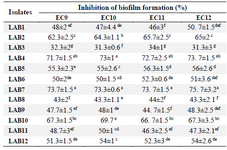 <p>Table 3. The inhibitory activity of CFS against biofilm formation by UPEC isolates</p>
<p>Data are expressed as mean&plusmn;standard deviation (n=3). Means within the same column with different superscript letters are statistically different based on Tukey&rsquo;s test (p&lt;0.05).</p>