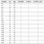 <p>Table 3. The results of all experiments (turbidity, culture, PCR and LAMP) for clinical specimens</p>
<p>a +, amplification occurred; -, amplification did not occur.</p>
