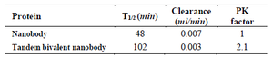 <p>Table 2. Pharmacokinetic parameters obtained for tandem bivalent nanobody and the native one</p>