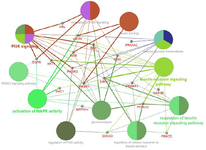 <p>Figure 4. Pathway interrelation analysis of genes derived from top ranking gene networks. The enriched pathways are represented by larger nodes, and genes by smaller nodes. The corresponding edges indicate crosstalk between the enriched pathways and genes.</p>
