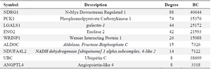 <p>Table 1. Summary of the nine selected hub proteins based on degree, MCC, and BC</p>
<p>Since there is no edge between the neighbors of the node, the MCC is equal to its degree. NDRG1: N-Myc Downstream Regulated 1; PCK1: Phosphoenolpyruvate Carboxykinase 1; LGALS1: Galectin 1; ENO2: Enolase 2; WRINP1: Werner Interacting Protein 1; ALDOC: <em>Aldolase, Fructose-Bisphosphate C; </em>NDUFA4L2: <em>NADH dehydrogenase [ubiquinone] 1 alpha subcomplex, 4-like 2; </em>UBC: Ubiquitin C; ANGPTL4: Angiopoietin-like 4.</p>

