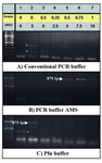 Figure 2. Effects of additives and PCR buffers on amplification of the putative promoter of PeP gene. Betaine (0-1 M) and DMSO (0-10% v/v) (lanes 2-8) were added to the different PCR reaction buffers  to obtain amplification of the putative promoter region of the PeP gene. The desired PCR products (875 bp) are indicated by arrow heads while the star represents the nonspecifc band. Lane one represents the DNA ladder (100 bp)