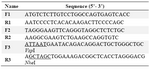 Table 1.  List of primers used in this study
F and R, are referred as forward and reverse primers, respectively
