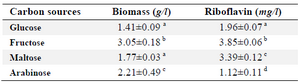 <p><strong>Table 1. Effect of addition of different sugars on riboflavin production by </strong><em>B. subtilis</em></p>
<p>Conditions: carbon source, 40 <span style="font-style: normal !msorm;"><em>g/l</em></span>; yeast extract, 10 <span style="font-style: normal !msorm;"><em>g/l</em></span>; temperature, 30<span style="font-style: normal !msorm;"><em>&deg;C</em></span>; in rotary shaker, 200 <span style="font-style: normal !msorm;"><em>rpm</em></span>; cultivation period, 3 days.</p>
<p>The results are the average of three replicate experiments. Values represent as mean&plusmn;standard deviation.</p>
<p>a-d) Values in the same columns followed by different superscript letters are significantly different (p&lt;0.05).</p>