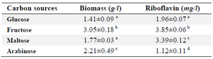 <p><strong>Table 1. Effect of addition of different sugars on riboflavin production by </strong><em>B. subtilis</em></p>
<p>Conditions: carbon source, 40 <span style="font-style: normal !msorm;"><em>g/l</em></span>; yeast extract, 10 <span style="font-style: normal !msorm;"><em>g/l</em></span>; temperature, 30<span style="font-style: normal !msorm;"><em>&deg;C</em></span>; in rotary shaker, 200 <span style="font-style: normal !msorm;"><em>rpm</em></span>; cultivation period, 3 days.</p>
<p>The results are the average of three replicate experiments. Values represent as mean&plusmn;standard deviation.</p>
<p>a-d) Values in the same columns followed by different superscript letters are significantly different (p&lt;0.05).</p>