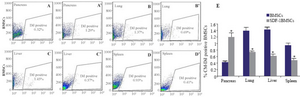 <p>Figure 3. Bone-marrow-derived Mesenchymal Stromal Cells (BMSCs) distribution, with or without stromal derived factor (SDF-1&alpha;) preconditioning, within various organs after intravenous injection. Forty eight hours after intravenous transplantation, mice were sacrificed and organs, including pancreas, lung, liver and spleen, were harvested for BMSCs (A, B, C and D; without SDF-1&alpha;, A<sup>&rsquo;</sup>, B<sup>&rsquo;</sup>, C<sup>&rsquo;</sup> and D<sup>&rsquo;</sup>; with SDF-1&alpha;) distribution, determin-ed by CM-Dil fluorescence density under flow cytometry. Average data from the different organs of three mice are presented (E). Level of significance is p&lt;0.05.</p>