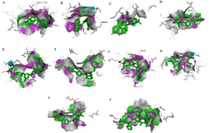 <p>Figure 6. The docked poses of ligands A1-A5 with the envelope protein of dengue (a-e). The interactions between compound 6, Doxycycline, NITD, PO2 and Rolitetracycline ( f-j). The purple color denotes hydrogen bond donor and the green color denotes hydrogen bond acceptor.</p>