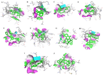 <p>Figure 7. The docked poses of ligands A1-A5 with the envelope protein of Zika (a-e). The interactions between compound 6, Doxycycline, NITD, PO2 and Rolitetracycline (f-j). The purple color denotes hydrogen bond donor and the green color denotes hydrogen bond acceptor</p>