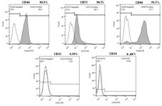 <p>Figure 2. Flow cytometric analysis of BMSC (Passage 4). Isolated bone marrow cells are strongly positive for MSC surface markers but didn&rsquo;t express CD33 and CD34.</p>