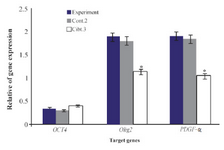 <p>Figure 8. Comparison of gene expression of <em>Oct 4</em>, <em>Olig2</em>, <em>PDGF-&alpha;</em> in experimental group compared to Control 2 and Control 3. *: Significant decrease with experimental group. Data are shown as mean&plusmn; SEM from three independent experiments.</p>