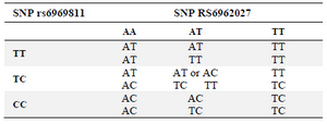 <p>Table 4. Possible haplotypic configurations for the genotypes at these two loci (rs6962027 and rs6969811)</p>
<p>There are nine possible configurations. Note that when the individual is heterozygous for both loci, the phase of the haplotype is unknown.</p>