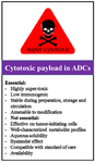 <p>Figure 5. Main considerations in choosing cytotoxic payloads for ADC design and development.</p>