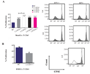 <p>Figure 4. Effect of IFN&gamma; stimulation of MenSCs on proliferation of CD4+ T cells: A) MenSCs were co-cultured with CD4+ T cells at 1:4 and 1:8 (MenSCs:CD4+ T cells) ratios with or without IFN&gamma; pre-stimulation for five days and the percent of proliferation was assessed by CFSE flow cytometry. B) IFN&gamma; pre-stimulated BMSCs were used as positive control in CD4+ T cells proliferation assay. Figures on the right in each panel represent histogram plots of corresponding proliferation assays. The empty histograms represent biological controls (BC) (CD4+ T cells cultured alone) and grey histograms represent test samples (co-culture). Results are representative of ten individual experiments *: p&lt;0.05 and ****: p&lt;0.0001.</p>