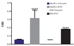<p>Figure 5. Assessment of IDO activity in MenSC and BMSC supernatants after stimulation with IFN&gamma;. IDO activity was measured using kynurenine colorimetric assay. The results are median and rage of four BMSCs and six MenSCs samples ****: p&lt;0.0001.</p>