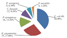 <p>Figure 2. Numbers and percentages of gram-negative bacteria isolated from 120 urine samples of outpatients infected with urinary tract infection.</p>