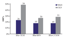 <p>Figure 7. Distribution of ESBLs-genes of 126 gram-negative bacteria isolated from outpatients infected with urinary tract infections. WKD: Without kidney disease, CKD: Chronic kidney disease.</p>