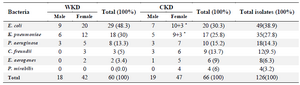 <p>Table 4. Numbers and percentages of gram-negative bacterial isolates from 120 urine samples of outpatients infected with urinary tract infection according to gender</p>
<p>WKD: Without kidney disease, CKD: Chronic kidney disease, *= Mixed growth</p>