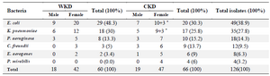 <p>Table 4. Numbers and percentages of gram-negative bacterial isolates from 120 urine samples of outpatients infected with urinary tract infection according to gender</p>
<p>WKD: Without kidney disease, CKD: Chronic kidney disease, *= Mixed growth</p>