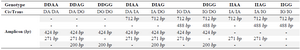 <p>Table 3. Amplification patterns observed and those expected according to ACE polymorphisms genotypes</p>
<p>D and I: Deletion/ Insertion allele (rs4340 SNP); A and G: wild type and mutant allele (rs4343 SNP).</p>