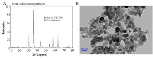 <p>Figure 1. A) XRD of Fe<sub>2</sub>O<sub>3 </sub>nanoparticles, B) TEM of the Fe<sub>2</sub>O<sub>3 </sub>nanoparticles.</p>