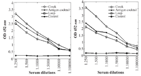 <p>Figure 5. Mice (left) and rabbit (right) antibody titers against cork and loop domains of BauA.</p>