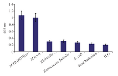 <p>Figure 6. The assay of specificity of NASBA-ELISA DIG- detection system. NASBA-ELISA was performed on non-target RNA samples extracted from <em>E. coli, K. pneumonia, E. faecalis</em> and <em>M. bovis</em>. NASBA-ELISA was performed on <em>M. tuberculosis</em> (H37Rv) as a positive control and H<sub>2</sub>O and dead <em>M. tuberculosis</em> as a negative control. The plotted results are averages of triplication analysis.</p>