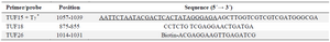 <p>Table 1. The sequence of primers and probe used in this study</p>
<p>* The sequence of T<sub>7</sub> promoter is underlined.</p>