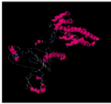 <p>Figure 1. The <em>three</em> dimensional <em>spatial structure</em> of <em>cagA</em> protein using I-TASSER and Discovery Studio Software.</p>