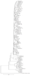 <p>Figure 1. Phylogenetic tree of HBV S-gene partial sequence constructed using 26 isolates from this study along with 68 Genbank reference sequences. Samples from the present study are represented by the patient number plus S6 (<em>e.g</em>. F15-S6). Reference strains from GenBank database are designated by their accession number. Branch lengths are proportional to sequence divergence. Similar geometric shapes within a node denote that they belong to one family.</p>