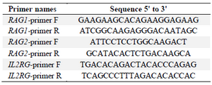 <p>Table 1. Primers used to amplify fragments of<em> RAG</em>1, <em>RAG2</em> and <em>IL2RG </em>genes</p>