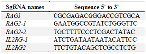<p>Table 2. crRNA sequences</p>