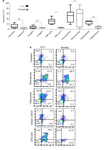 <p>Figure 5. Annexin V apoptosis assay in CLL and healthy PBMCs. A) Box plot represents the frequency (%) of apoptotic cells induced by2D8 mAb in comparison with isotype control mAb (negative control) or staurosporine (positive control) in CLL patients (n=6) (black color) or healthy individuals (n=6) (gray color). Boxes show values between the 25<sup>th</sup> and 75<sup>th</sup> percentiles. The horizontal line within the box represents the median value. B) Dot plot diagram represents apoptosis induction in one CLL PBMC in comparison with one healthy PBMC. To calculate the percentage of apoptotic cells, the amount of cell percentage in early (<em>i.e. </em>Annexin V+, PI-) and late (<em>i.e. </em>Annexin V+, PI+) stages of apoptosis was added <br /> together. ** means p&le;0.01. ns stands for not significant.</p>