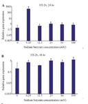 <p>Figure 4. The effect of sodium butyrate (SB) on the LHX1 mRNA expression in HT-29 cell line. A) Cells were cultured for 24 hr with 6.25 to 100 mM concentrations of SB at 37&deg;C. B) Cells were cultured for 48 hr with 6.25 to 100 mM concentrations of SB at 37&deg;C. LHX1 mRNA expression was investigated using qRT-PCR. GAPDH was used as the internal control. LHX1 mRNA expression increased in treated cells compared to control (0 mM). * Indicates a significant increase (p&lt;0.05) vs. controls. All experiments were performed in duplicate.</p>