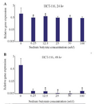 <p>Figure 5. The Effect of sodium butyrate (SB) on LHX1 mRNA expression in HCT-116 cell line. A) Cells were cultured for 24 hr with 6.25 mM to 100 mM of SB at 37&deg;C. B) Cells were cultured for 48 hr with 6.25 mM 100 mM of SB at 37&deg;C. LHX1 mRNA expression investigated using qRT-PCR. GAPDH was used as an internal control. LHX1 mRNA expression decreased in treated cells compared to control (0 mM). * Indicates a significant reduction (p&lt;0.05) vs. controls. All experiments were performed in duplicate.</p>