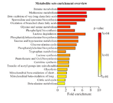 <p>Figure 6. The metabolite sets enrichment analysis (MSEA) overview.</p>