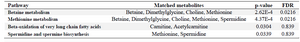 <p>Table 3. The significant biochemical pathways involved in the pathogenesis of gastric ulcer</p>