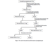 <p>Figure 1. Flow chart for the extraction and fractionation of pomegranate peel</p>