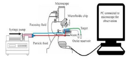 <p>Figure 3. Schematic design of the experimental setup.</p>