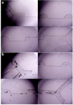 <p>Figure 9.&nbsp; Microscope images from a) the first, and b) the second setup of the experiment.</p>